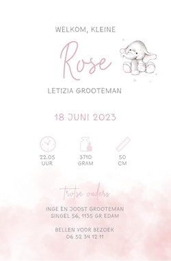 Geboortekaartje Rose   Roze olifantje Achterkant